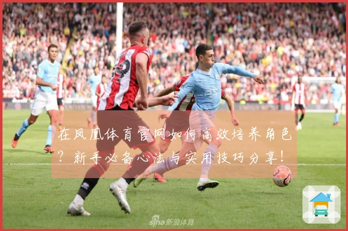 在凤凰体育官网如何高效培养角色？新手必备心法与实用技巧分享！