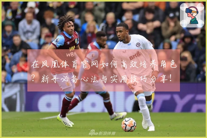 在凤凰体育官网如何高效培养角色？新手必备心法与实用技巧分享！