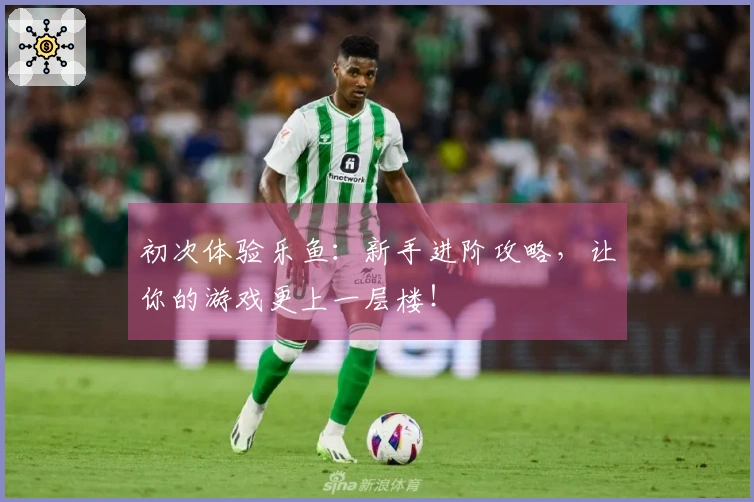 初次体验乐鱼：新手进阶攻略，让你的游戏更上一层楼！